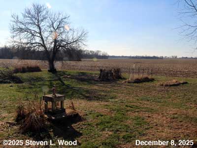 Our Senior Garden - December 8, 2025