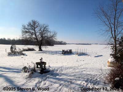 Our Senior Garden - December 12, 2025