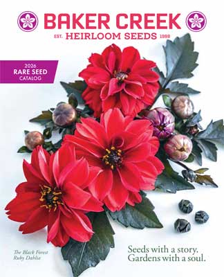 baker Creek 2026 cover