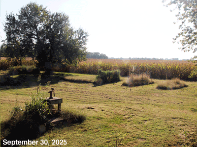 September, 2025, animated GIG of our Senior Garden