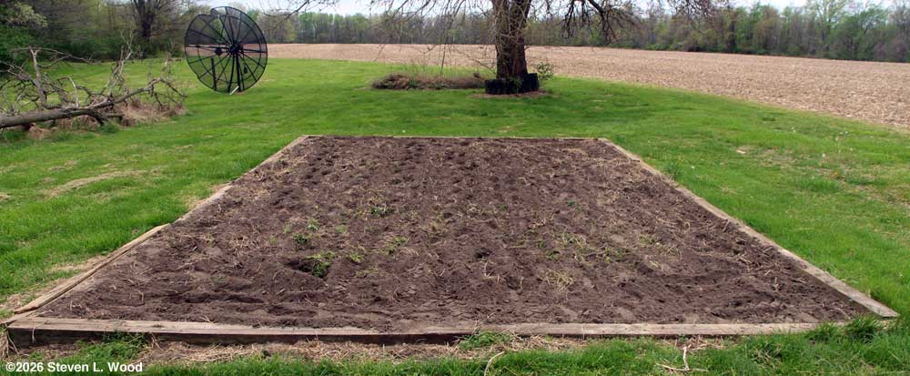 First till of main raised bed