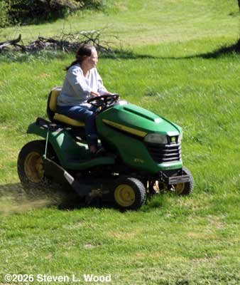 Annie mowing