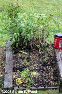 Herb bed