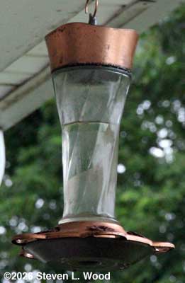Sixteen ounce feeder