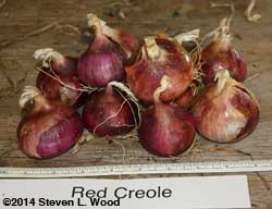 Red Creole onions