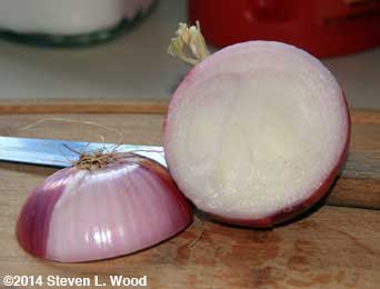 Cut Rossa di Milano onion