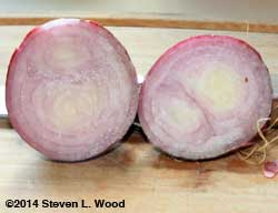 Cut Red Creole onion